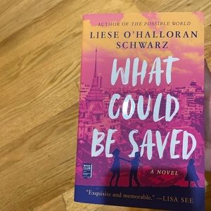 What Could be Saved book.